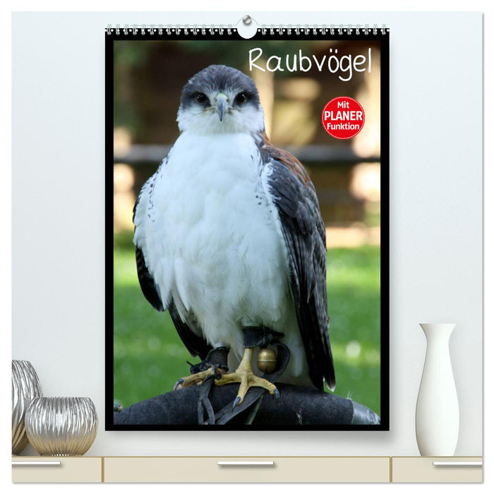 Birds of Prey (CALVENDO Premium Wall Calendar 2024) 