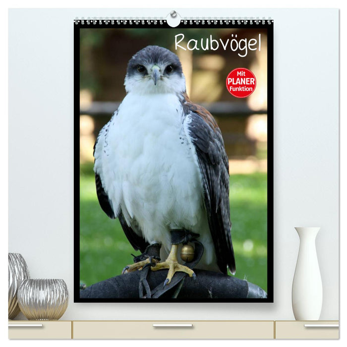 Raubvögel (CALVENDO Premium Wandkalender 2024)