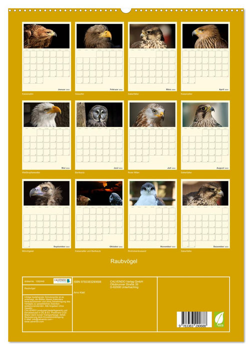 Raubvögel (CALVENDO Premium Wandkalender 2024)