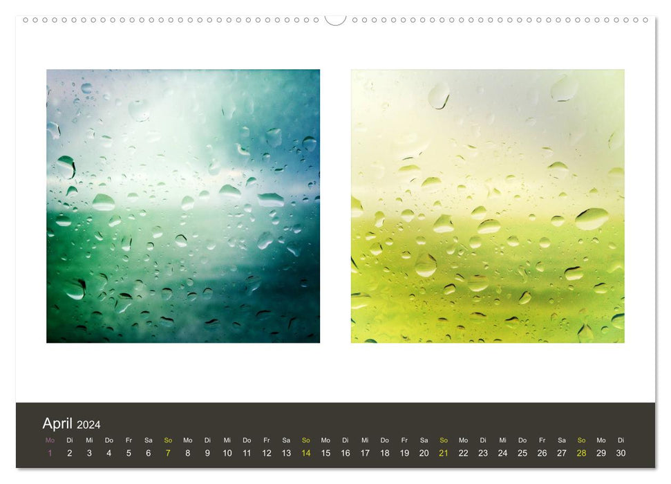 NATURE in double 2024 (CALVENDO Premium Wall Calendar 2024) 