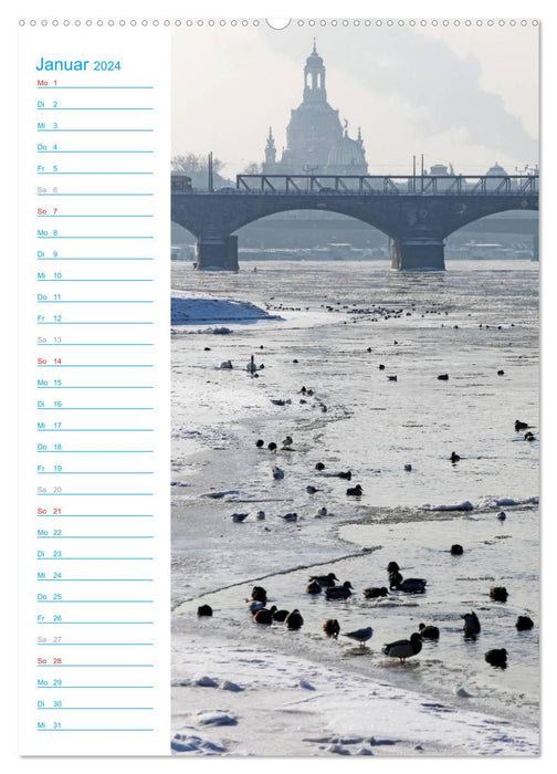 Frauenkirche Dresden (CALVENDO Wandkalender 2024)