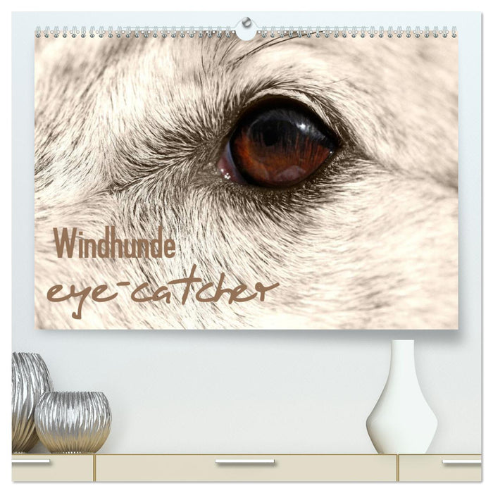Windhunde eye-catcher (CALVENDO Premium Wandkalender 2024)