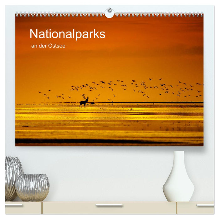 National parks on the Baltic Sea (CALVENDO Premium Wall Calendar 2024) 