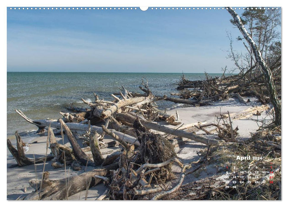 Nationalparks an der Ostsee (CALVENDO Premium Wandkalender 2024)
