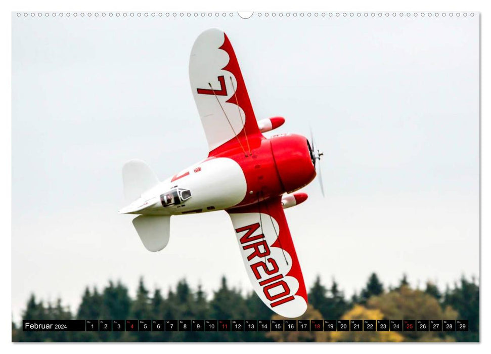 Modellflugzeuge über Friedrichshafen (CALVENDO Premium Wandkalender 2024)