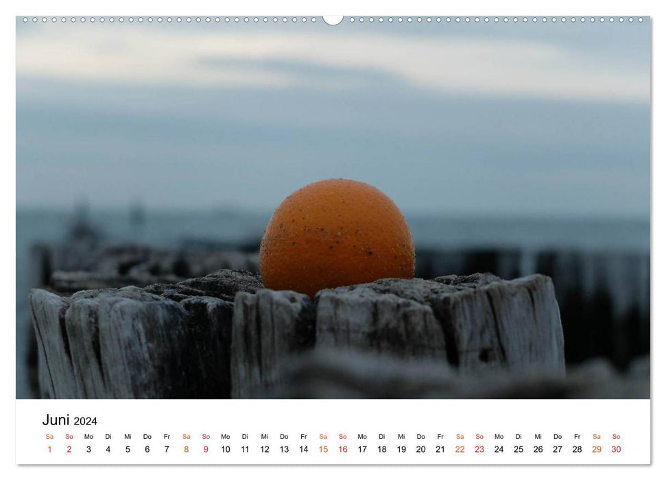 Wieder an der Nordsee (CALVENDO Premium Wandkalender 2024)