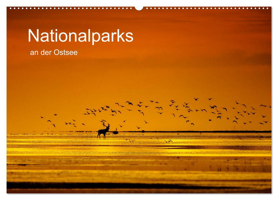 Nationalparks an der Ostsee (CALVENDO Wandkalender 2024)