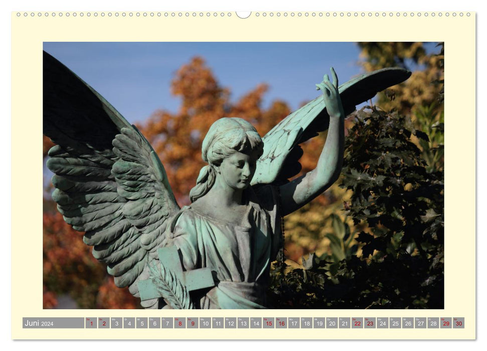 The warmth of angels (CALVENDO wall calendar 2024) 