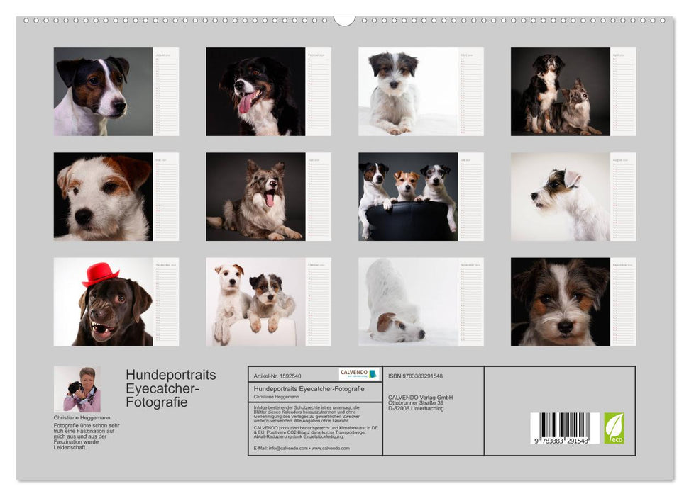 Dog portraits eye-catching photography (CALVENDO Premium Wall Calendar 2024) 
