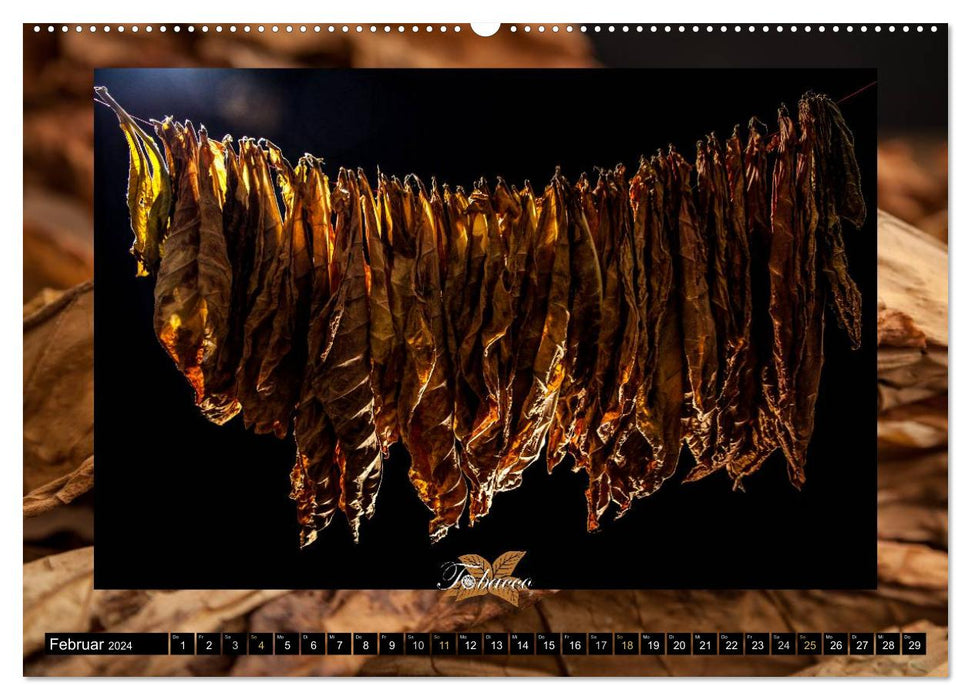 Tobacco - enjoyment and flair of tobacco culture (CALVENDO Premium Wall Calendar 2024) 
