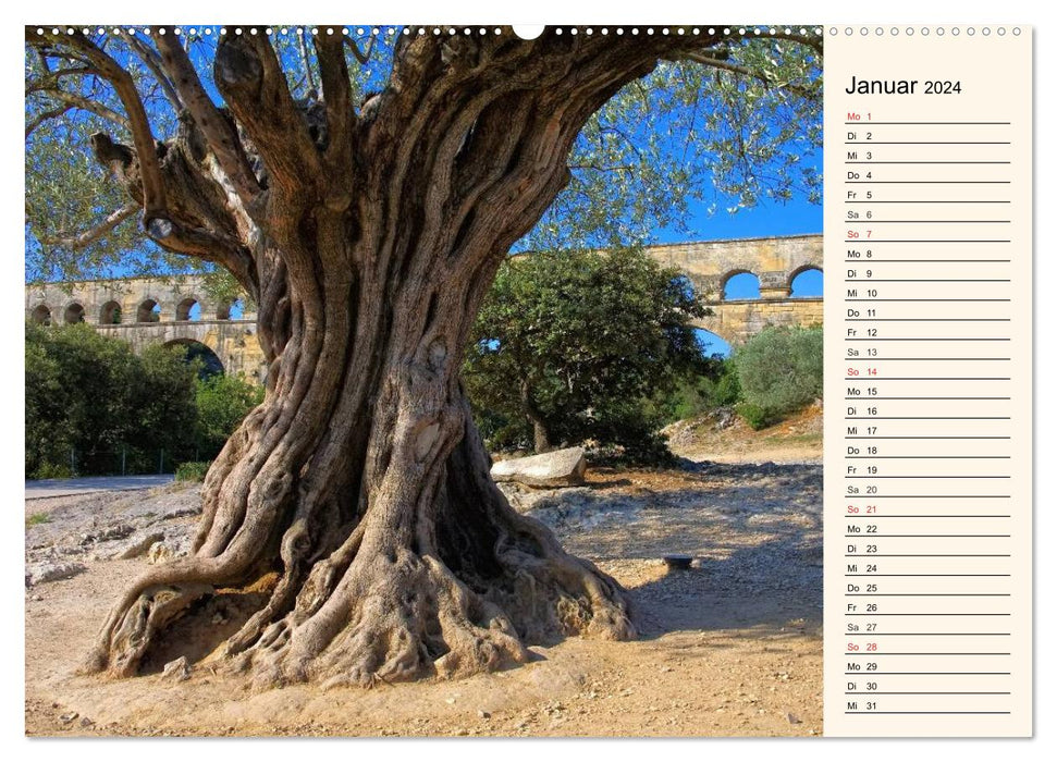 Enchanting Provence (CALVENDO Premium Wall Calendar 2024) 