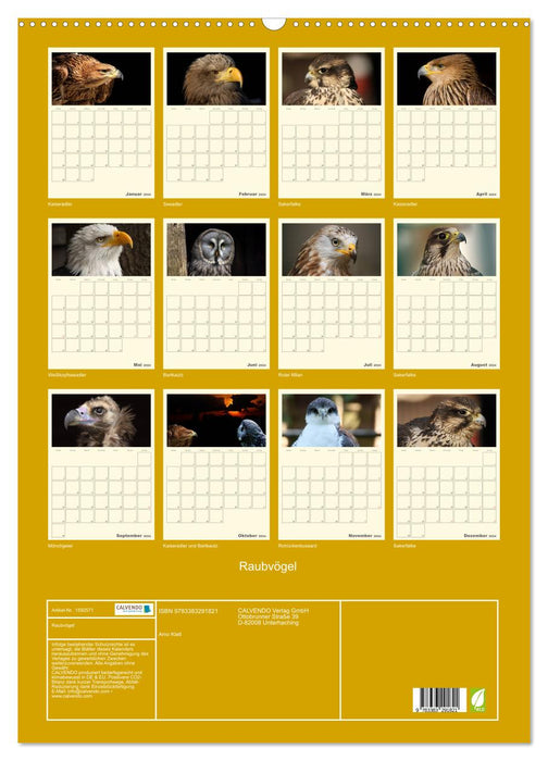 Raubvögel (CALVENDO Wandkalender 2024)