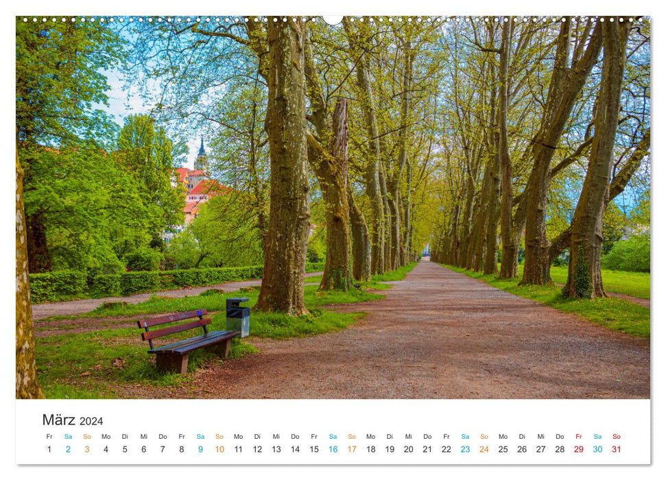 Tübingen - Die schwäbische Universitätsstadt (CALVENDO Wandkalender 2024)