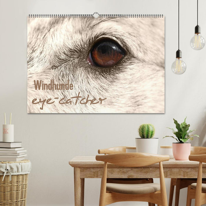 Windhunde eye-catcher (CALVENDO Wandkalender 2024)