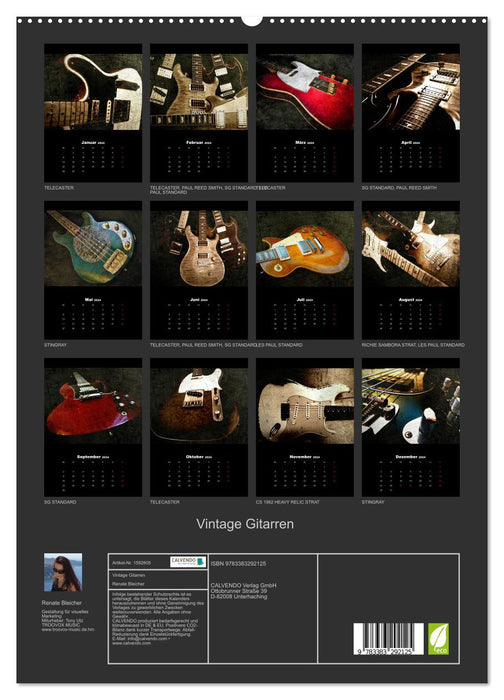 Vintage Gitarren (CALVENDO Premium Wandkalender 2024)