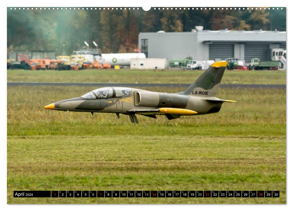 Model airplanes over Friedrichshafen (CALVENDO wall calendar 2024) 