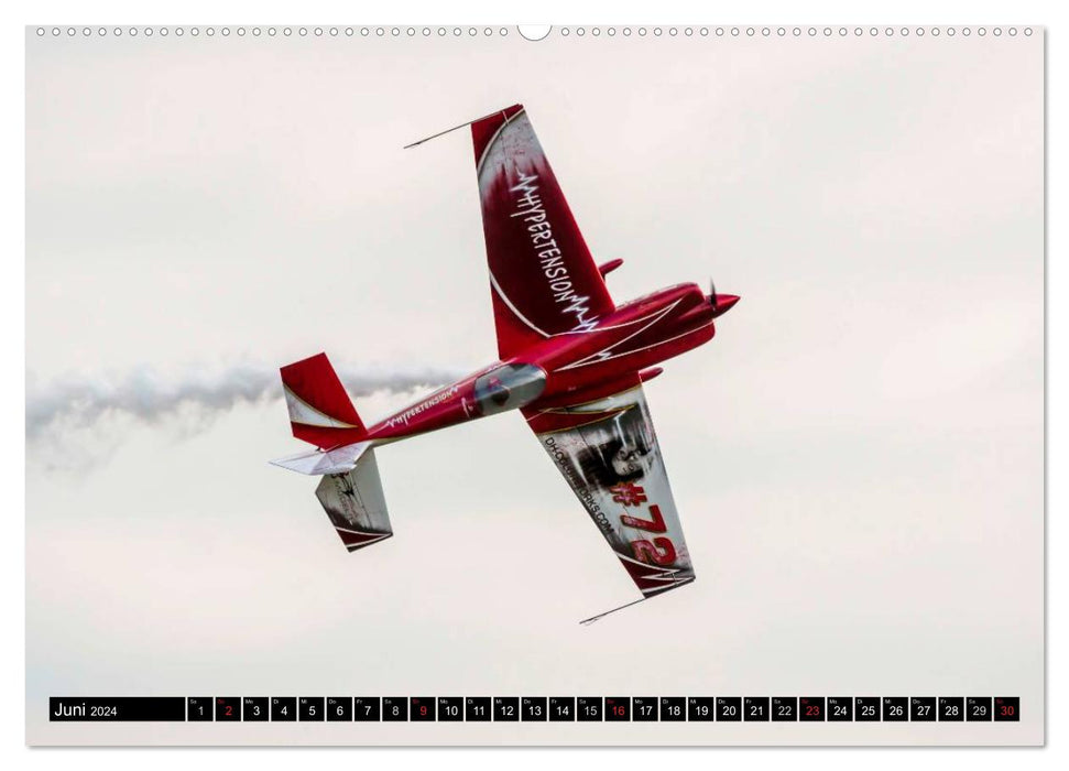 Model airplanes over Friedrichshafen (CALVENDO wall calendar 2024) 