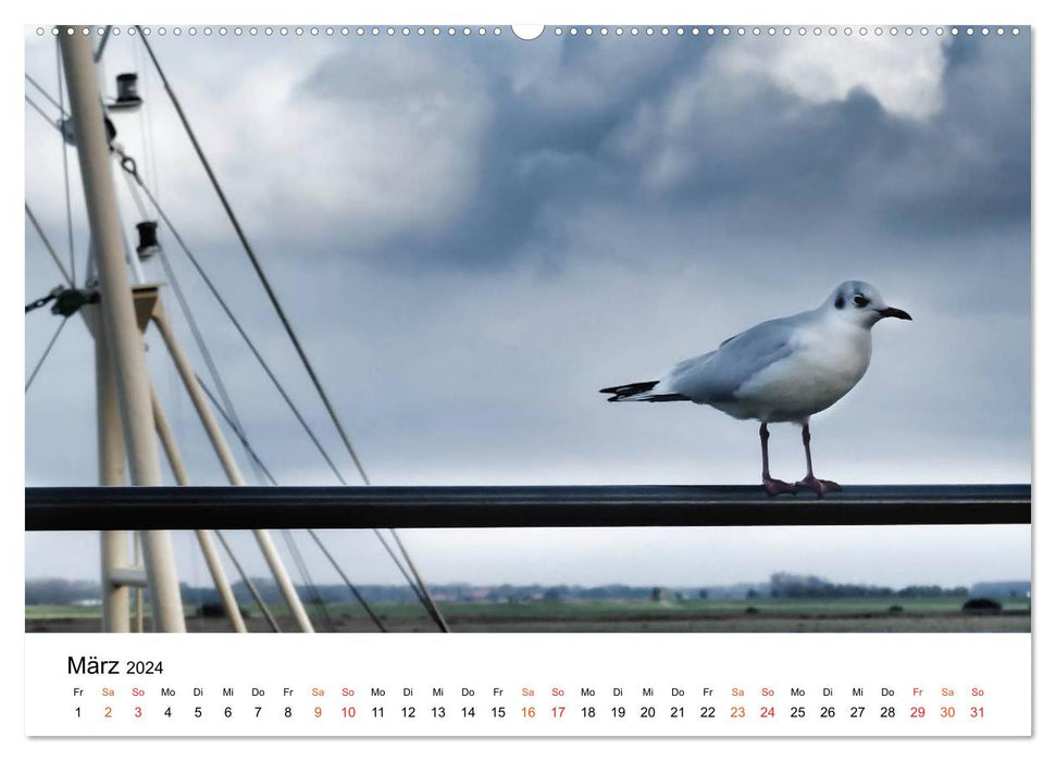 Back at the North Sea (CALVENDO wall calendar 2024) 