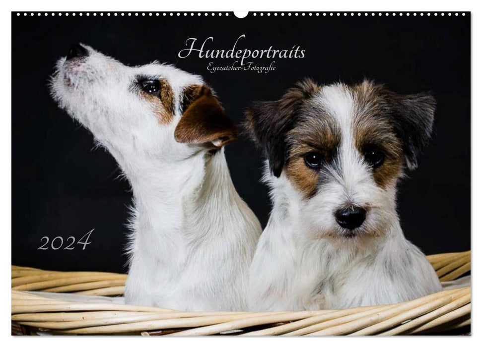 Hundeportraits Eyecatcher-Fotografie (CALVENDO Wandkalender 2024)