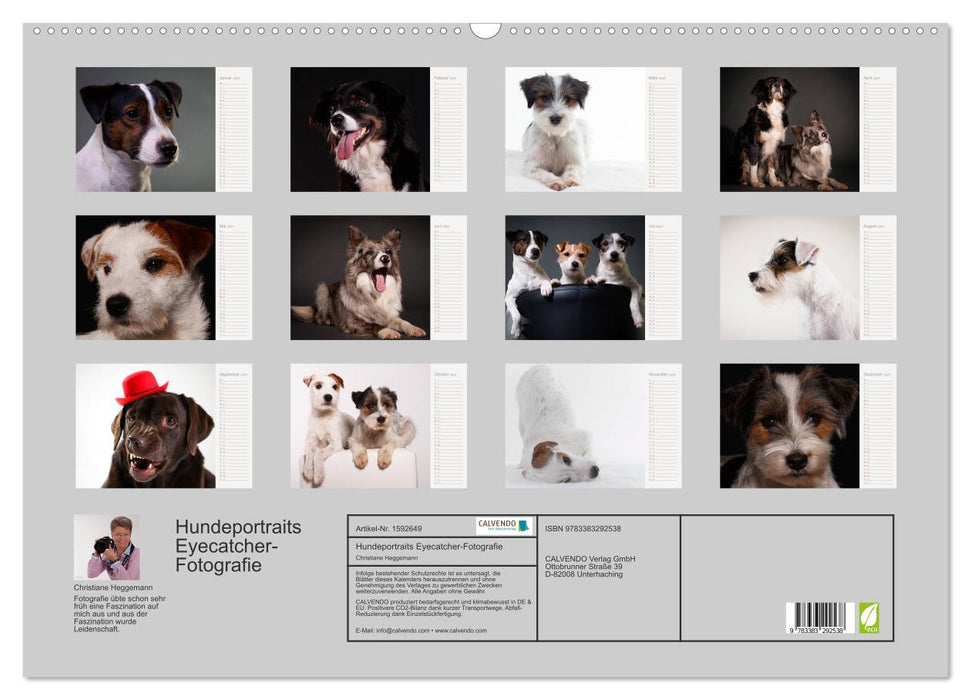 Dog portraits eye-catching photography (CALVENDO wall calendar 2024) 