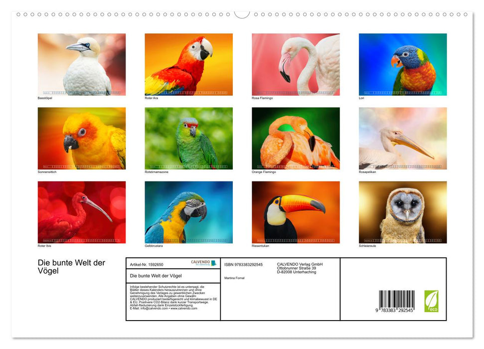 The colorful world of birds (CALVENDO Premium Wall Calendar 2024) 