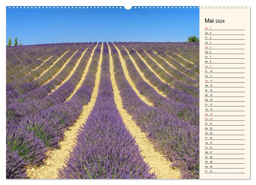 Verzaubernde Provence (CALVENDO Wandkalender 2024)