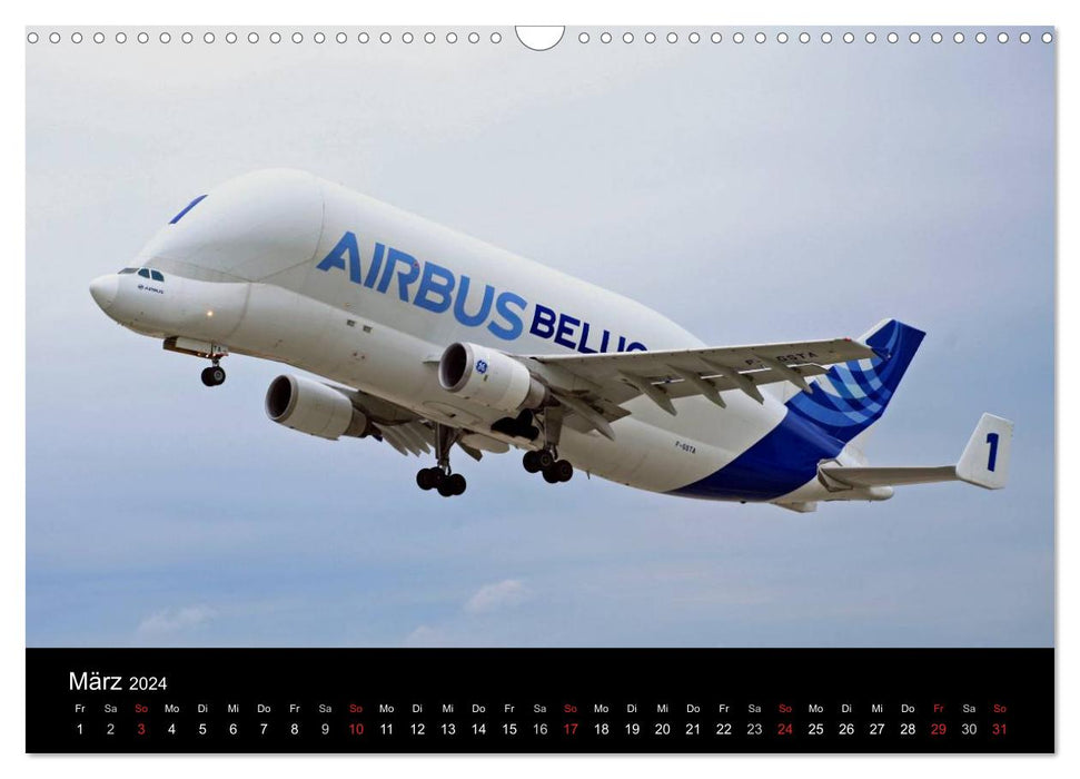 Air traffic (CALVENDO wall calendar 2024) 