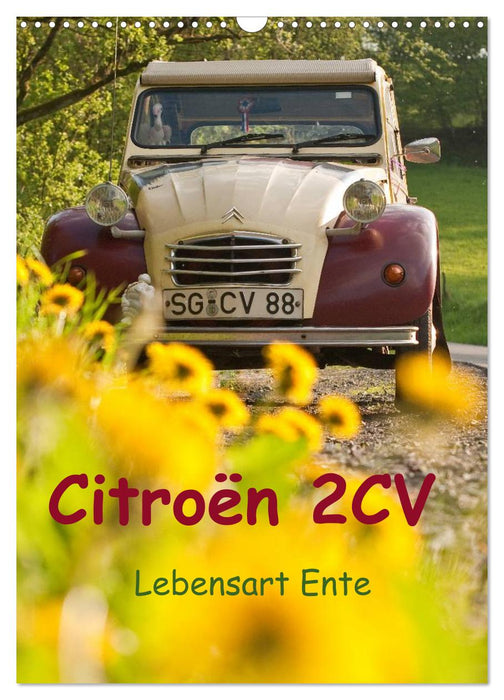 Citroën 2CV - Lebensart Ente (CALVENDO Wandkalender 2024)