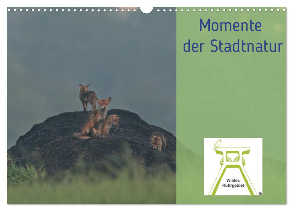 Wildes Ruhrgebiet - Momente der Stadtnatur (CALVENDO Wandkalender 2024)