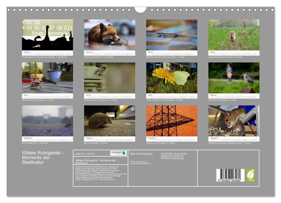 Wild Ruhr area - moments of urban nature (CALVENDO wall calendar 2024) 