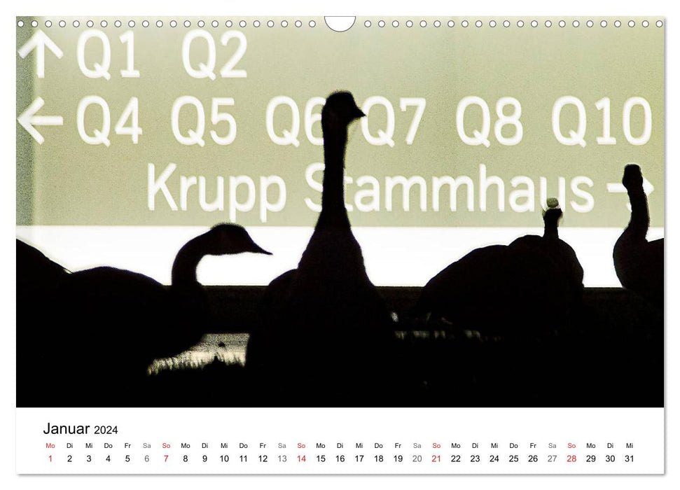 Wild Ruhr area - moments of urban nature (CALVENDO wall calendar 2024) 