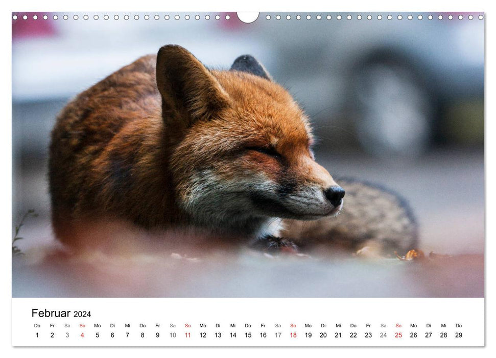 Wild Ruhr area - moments of urban nature (CALVENDO wall calendar 2024) 