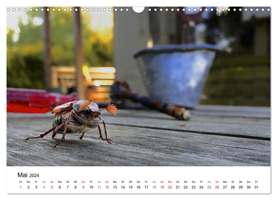 Wild Ruhr area - moments of urban nature (CALVENDO wall calendar 2024) 