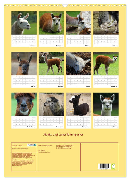 Alpaca and llama appointment planner (CALVENDO wall calendar 2024) 