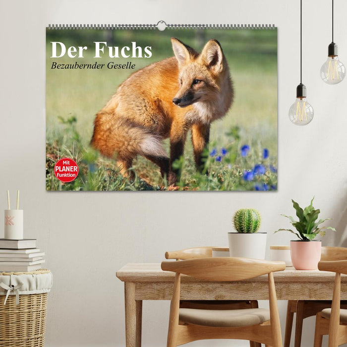 The Fox. Charming fellow (CALVENDO wall calendar 2024) 