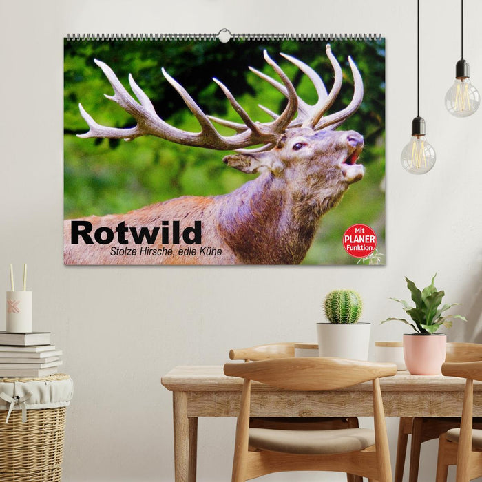 Rotwild. Edle Hirsche, stolze Kühe (CALVENDO Wandkalender 2024)