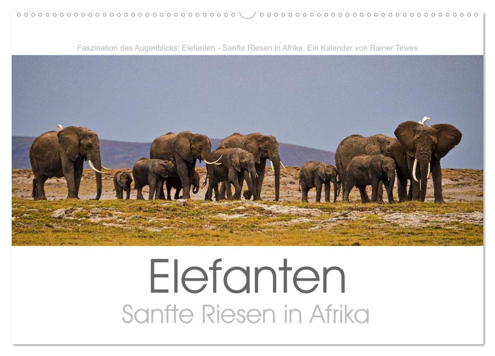 Elephants - Gentle Giants in Africa (CALVENDO Wall Calendar 2024) 