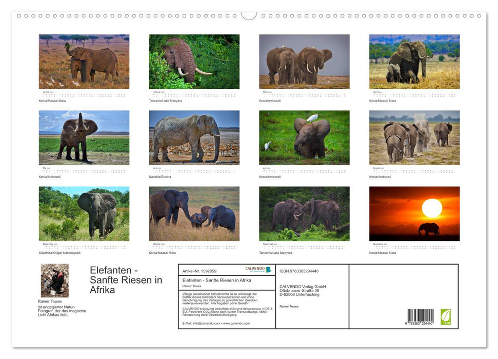 Elephants - Gentle Giants in Africa (CALVENDO Wall Calendar 2024) 