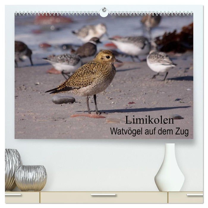 Limikolen wading birds on the move (CALVENDO Premium Wall Calendar 2024) 