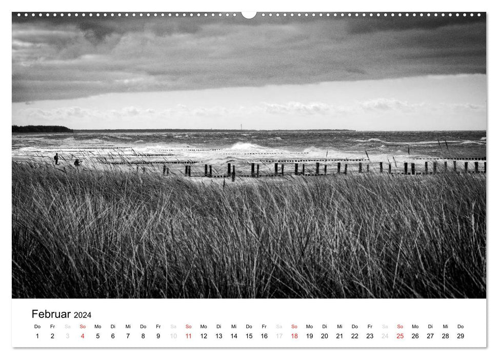 Baltic Sea resort of Zingst - impressions in black and white (CALVENDO wall calendar 2024) 