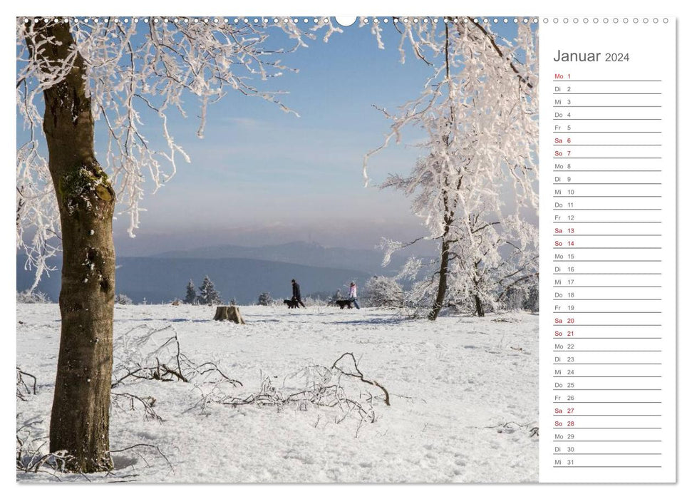 View of the Sauerland (CALVENDO Premium Wall Calendar 2024) 
