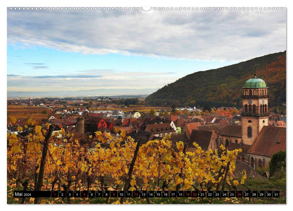 Destination Alsace (Calendrier mural CALVENDO 2024) 
