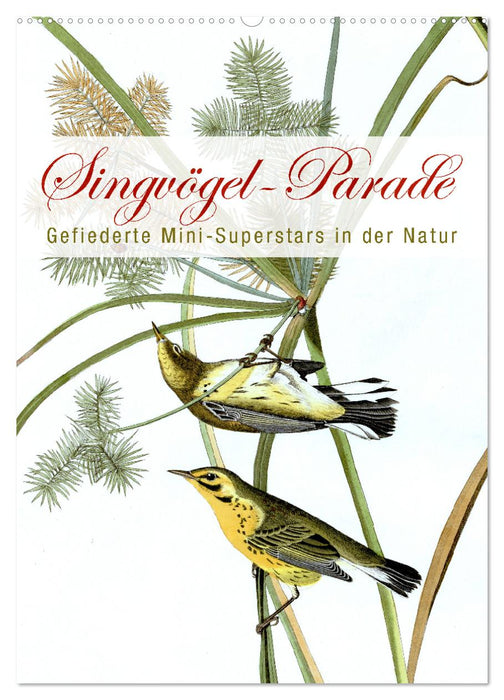 Parade des oiseaux chanteurs (calendrier mural CALVENDO 2024) 