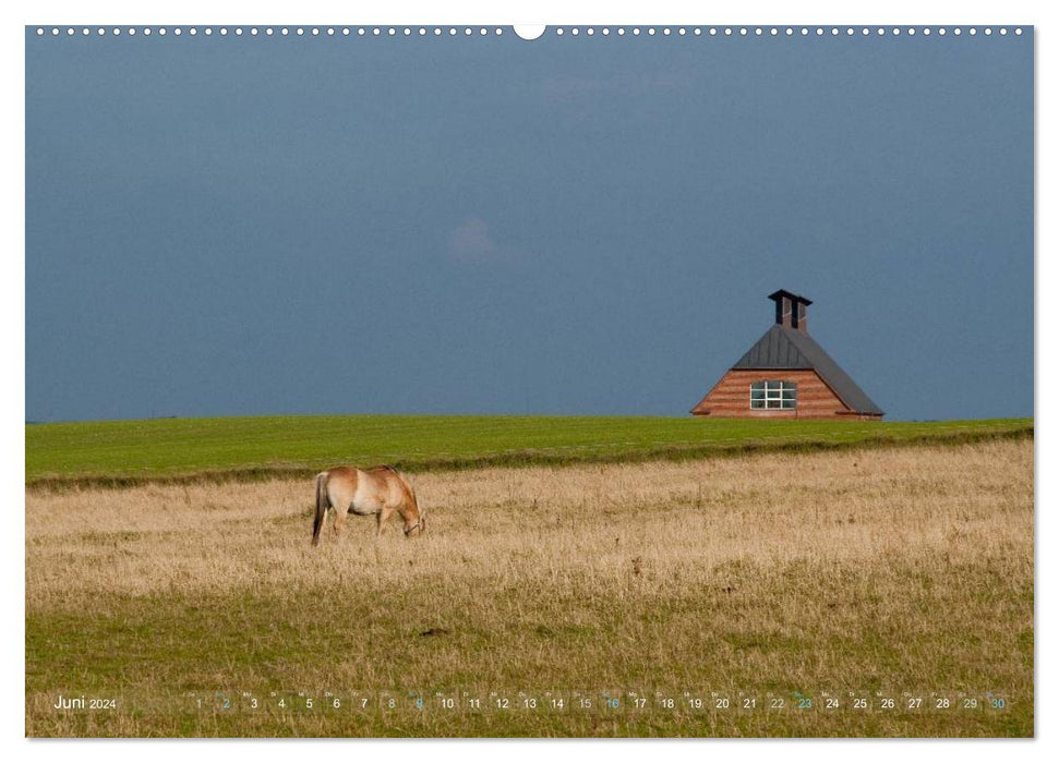 Jütland - Dem Licht auf der Spur (CALVENDO Wandkalender 2024)