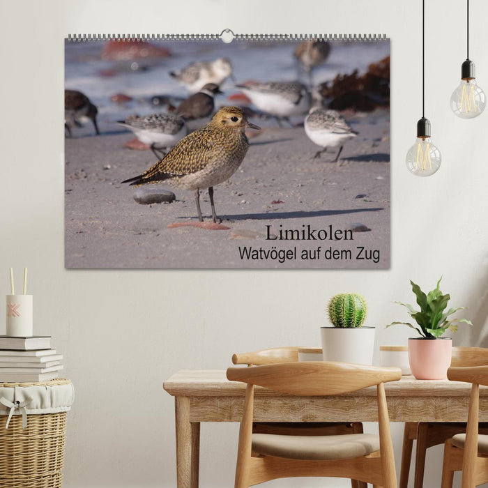 Limikolen wading birds on the move (CALVENDO wall calendar 2024) 