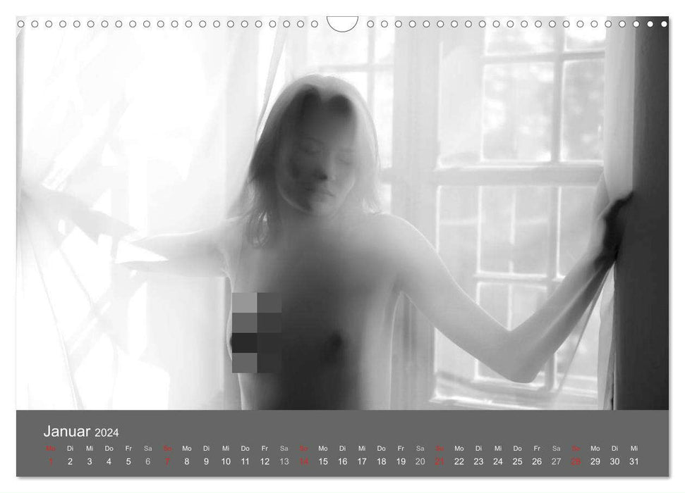 Nude and visions (CALVENDO wall calendar 2024) 