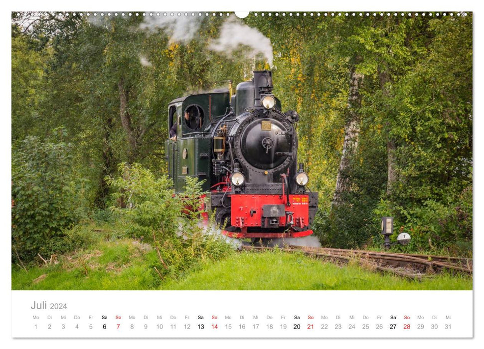 Locomotive à vapeur à voie étroite Bieberlies (Calendrier mural CALVENDO Premium 2024) 