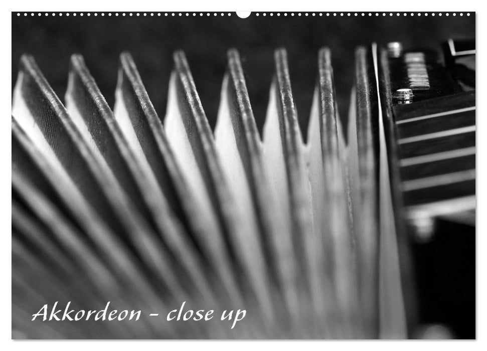 Akkordeon - close up (CALVENDO Wandkalender 2024)