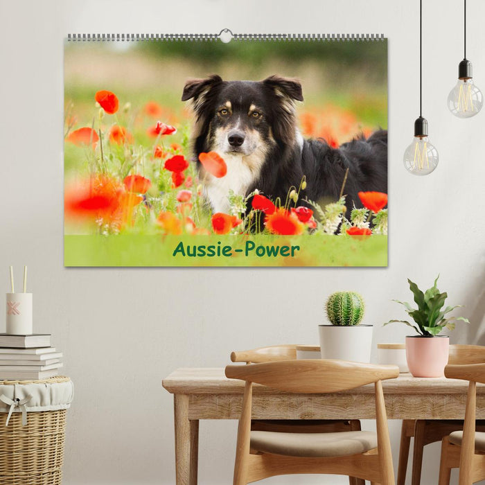 Puissance australienne (calendrier mural CALVENDO 2024) 