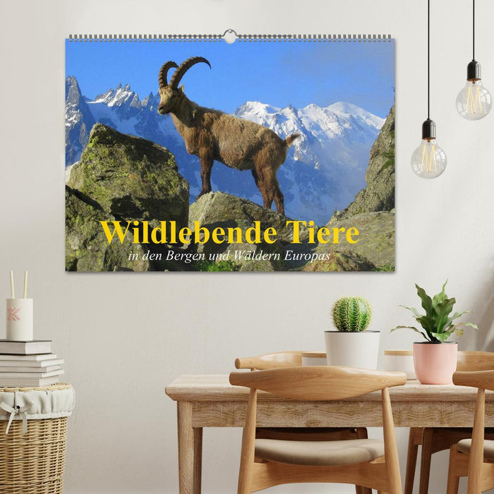 Wild animals in the mountains and forests of Europe (CALVENDO wall calendar 2024) 